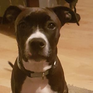 Meet your Posher, Jody